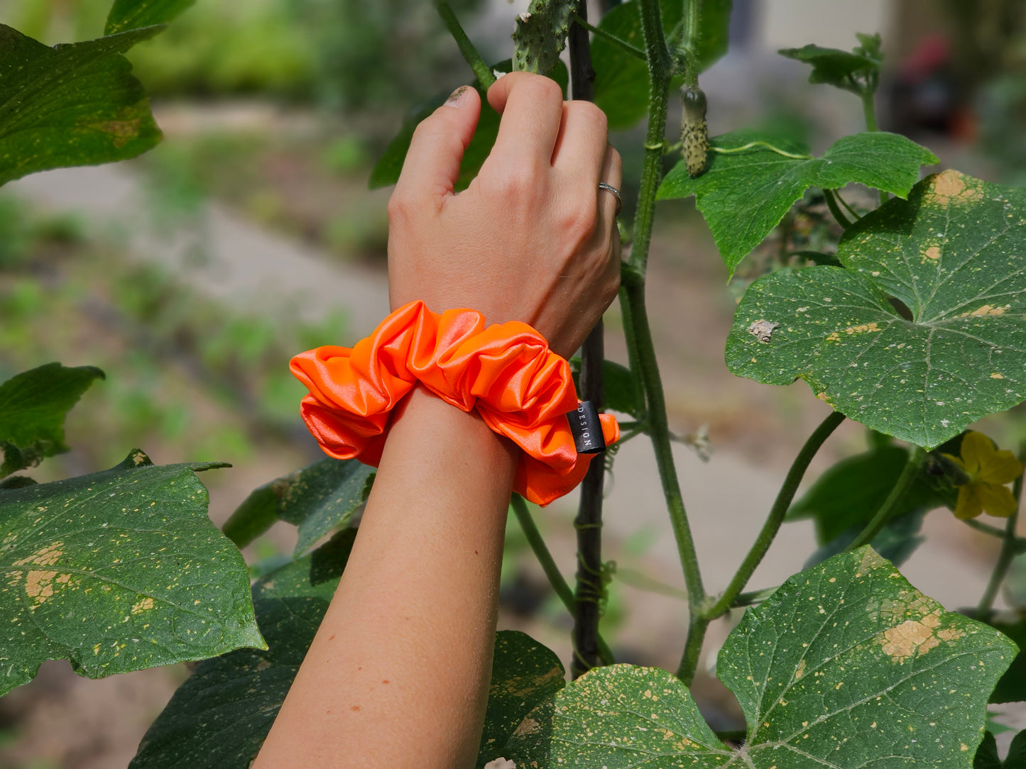Neon Orange S